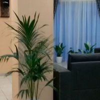 arion hotel loutraki