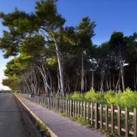 arion athens hotel