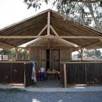 avra beach resort