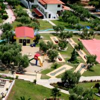 blue dolphin hotel