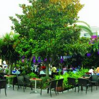 cathrin hotel