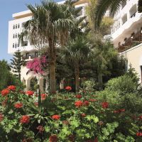 creta star hotel