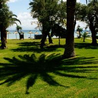 delfinia corfu hotel