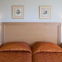 delfinia corfu hotel