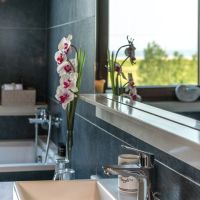 cosmopolitan hotel & spa