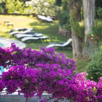 corfu holiday palace