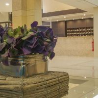 europa hotel