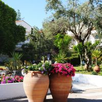 grand blue hotel eretria