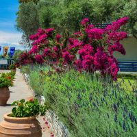 grand blue hotel eretria