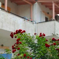 galini studios