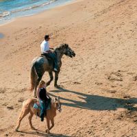 grecotel olympia riviera aqua park