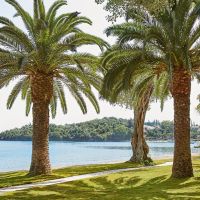 grecotel lux.me daphnila bay dassia