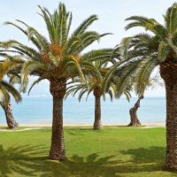 grecotel lux.me daphnila bay dassia