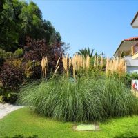 ioli apartments fourka beach