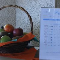 marin dream hotel