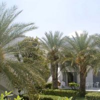 maritimo beach hotel