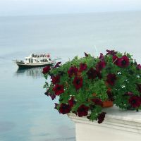oasis corfu hotel