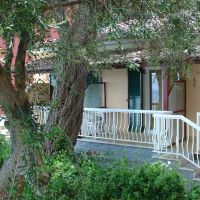 oasis corfu hotel