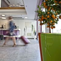 novus city hotel