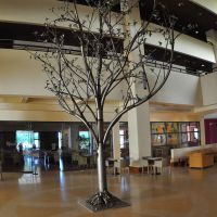 porto carras meliton hotel