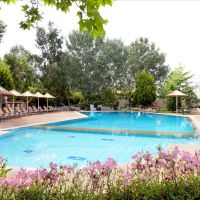 petrino suites hotel