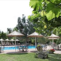 petrino suites hotel