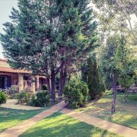 petrino suites hotel
