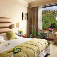 radisson blu park hotel