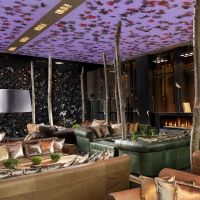 radisson blu park hotel