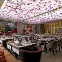 radisson blu park hotel