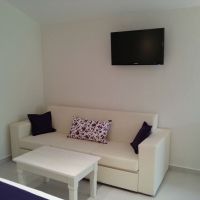 rania studios