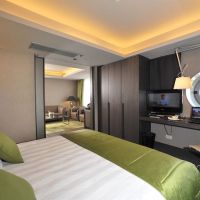 radisson blu park hotel