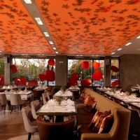 radisson blu park hotel