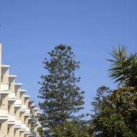 sunshine rhodes hotel