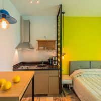 thalassokipos sea view studios & suites