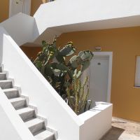 xidas garden charm hotel