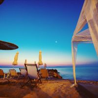 white suites resort