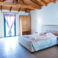 diogenis blue palace