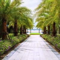 phuket marriott resort and spa nai yang beach 4 *