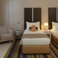damac maison cour jardin