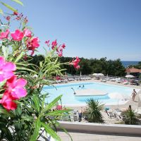 laguna albatros hotel