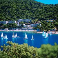vis hotel