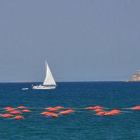 kanegra apartments umag