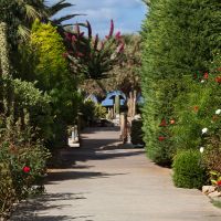 cretan malia park