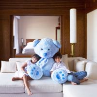 sofitel dubai the palm resort & spa
