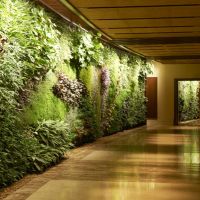 sofitel dubai the palm resort & spa