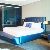 w dubai the palm