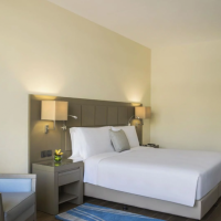 the village at the cove rotana