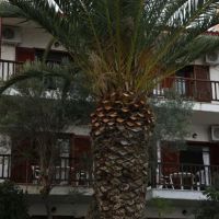 maison la mer