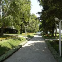 oasis nessebar